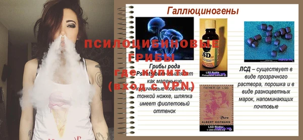PSILOCYBIN Абдулино