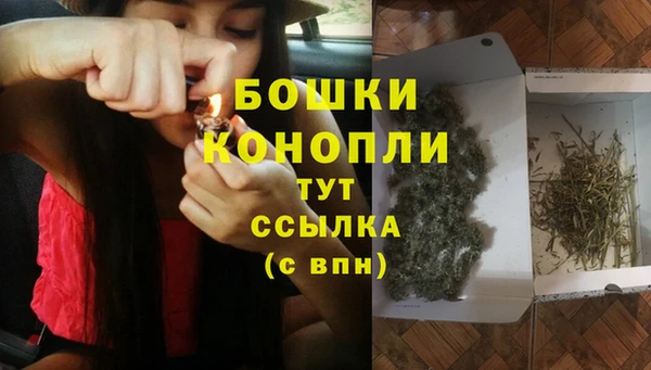 PSILOCYBIN Абдулино