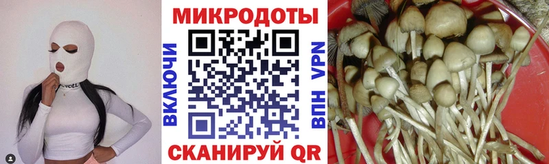 гидра сайт  Камень-на-Оби  Псилоцибиновые грибы мицелий  где продают  